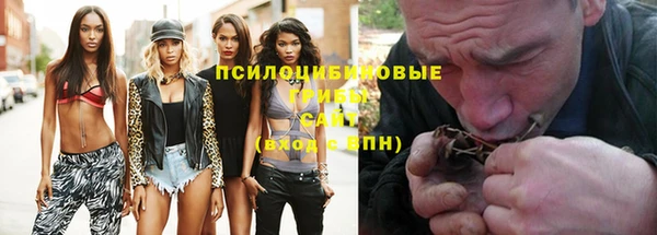 ГАЛЛЮЦИНОГЕННЫЕ ГРИБЫ Алексеевка