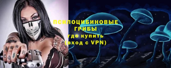 гашик Алзамай
