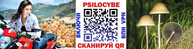 маркетплейс Telegram  закладка  Полевской  Галлюциногенные грибы мицелий 